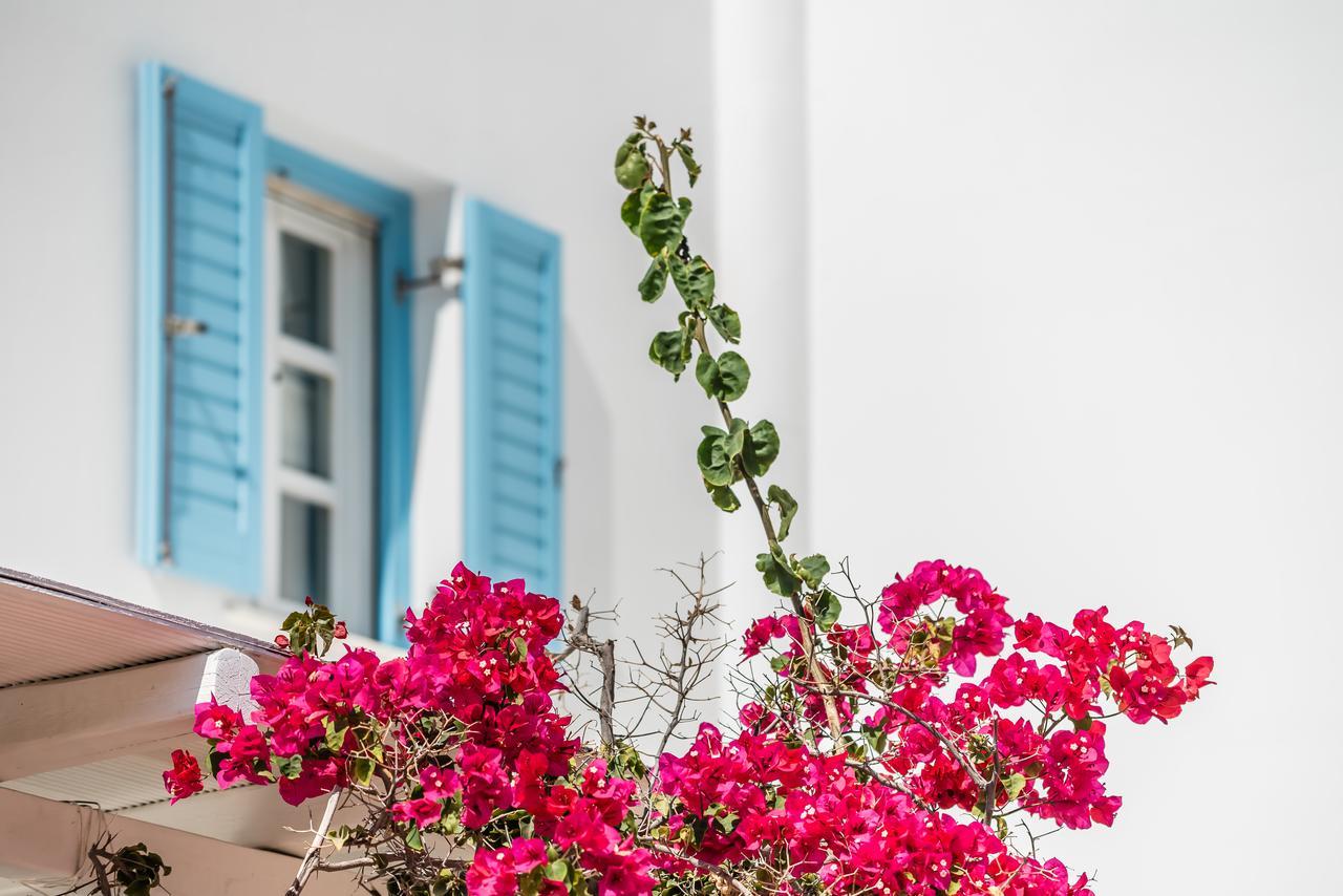 Capo Di Mykonos Resort Agios Ioannis Diakoftis Dış mekan fotoğraf